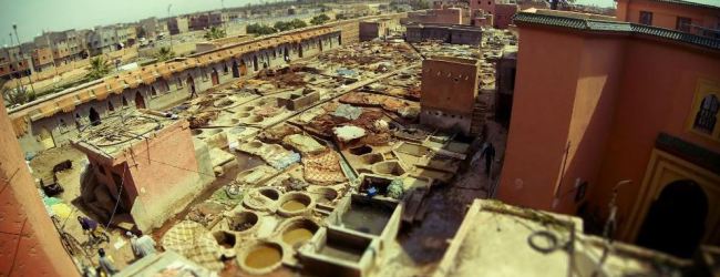 Découverte du quartier des tanneurs à Marrakech