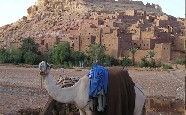 voyage marrakech